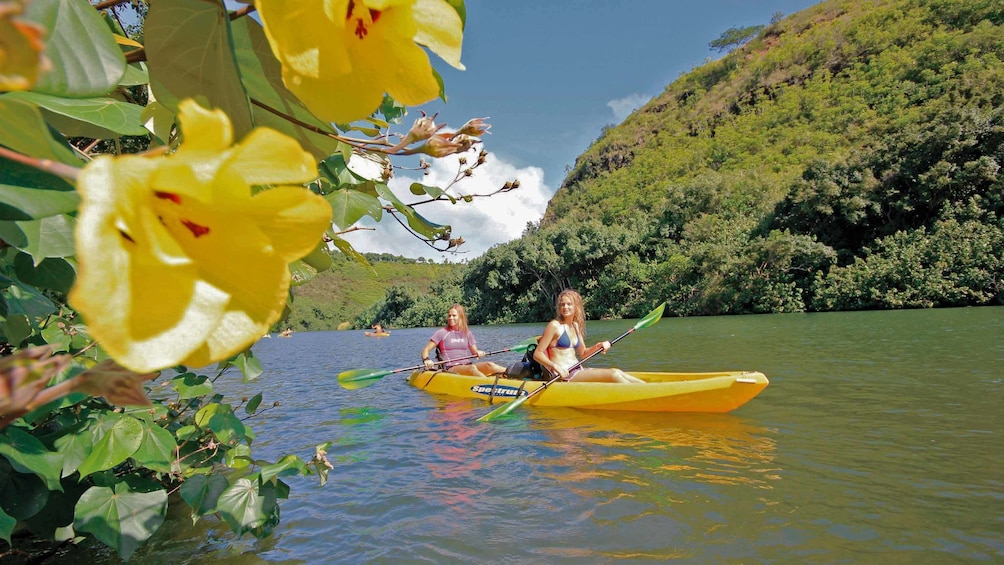 large yellow flowers and kayakers in Kauai