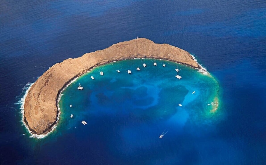 Deluxe Molokini & Turtle Arches Snorkel Sail Tour