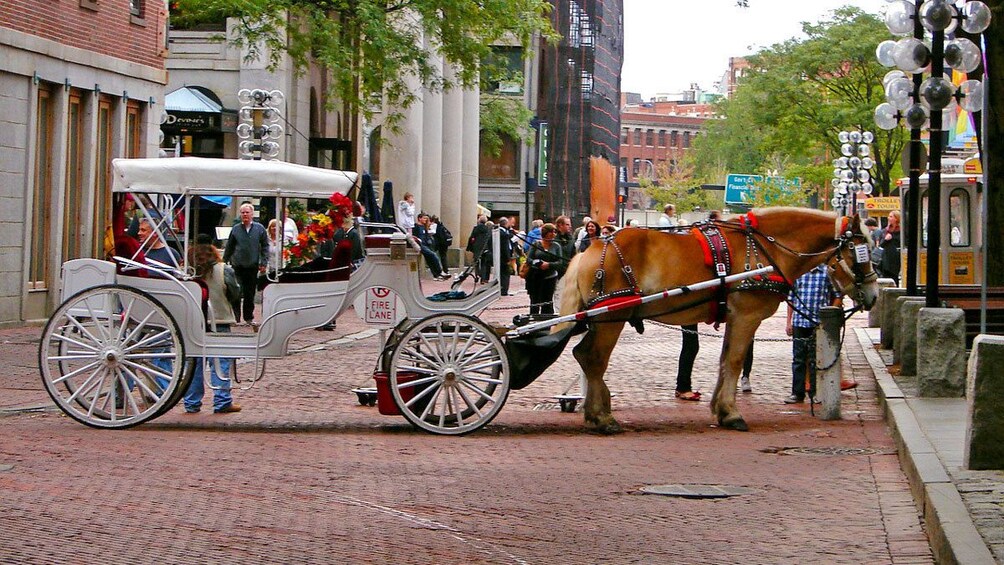 a horse drawn carriage in Boston