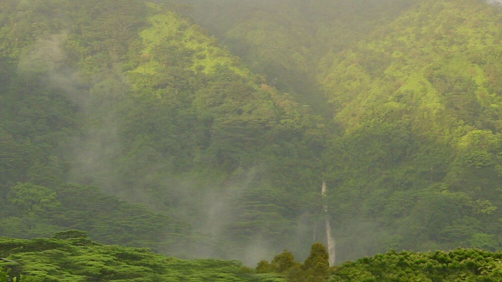 Tree-covered mountain on Oahu