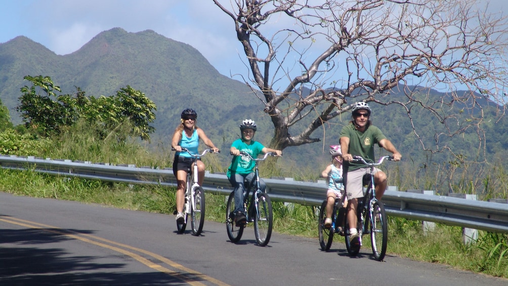 Enjoy a scenic bike ride down the mountain ranges of Oahu