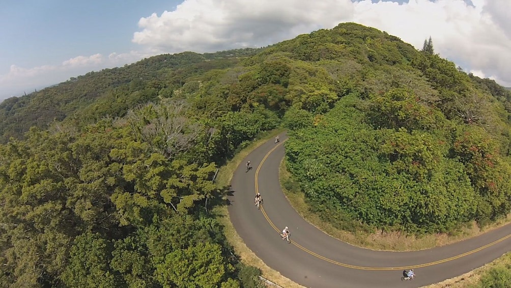 Speed or casually cruise down the paved roads of the jungle mountain ranges in Oahu