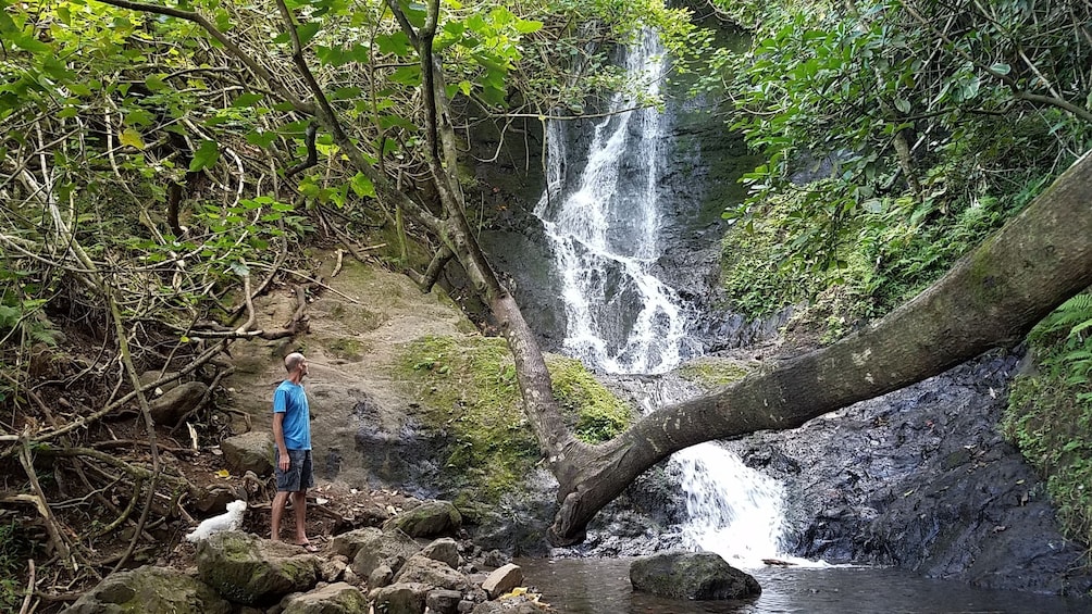 Oahu Downhill Bike & Waterfall Hike