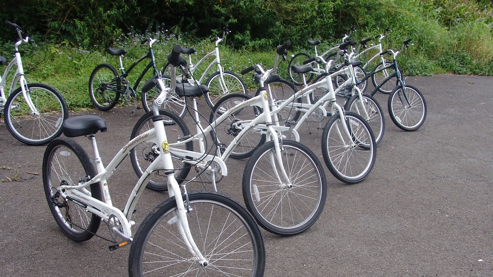 Take a bike ride down the tropical mountainside on Oahu