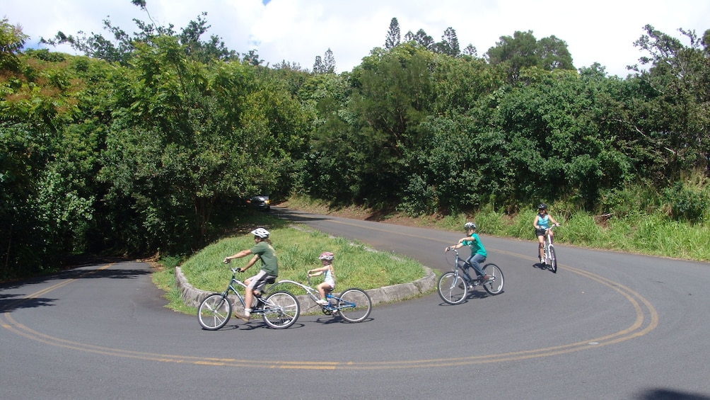 Ride safely down the paved jungle roads and hairpin turns in Oahu