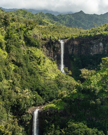 Deluxe Kauai Helicopter Ride