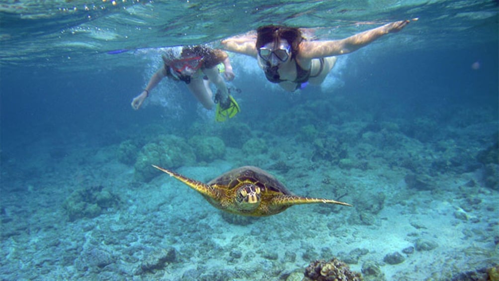 Molokini Snorkel Express