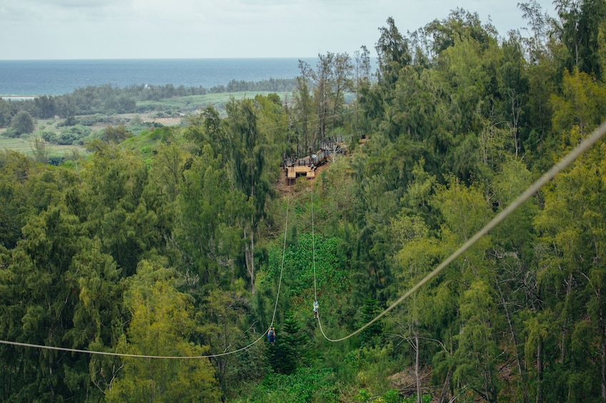 Keana Farms North Shore Zipline Tour