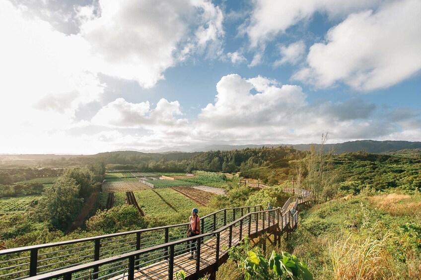 Keana Farms North Shore Zipline Tour 