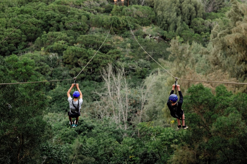 Keana Farms North Shore Zipline Tour