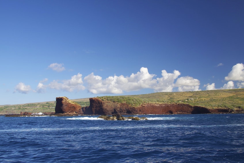 Show item 3 of 8. Lanai Snorkeling & Dolphin Sighting