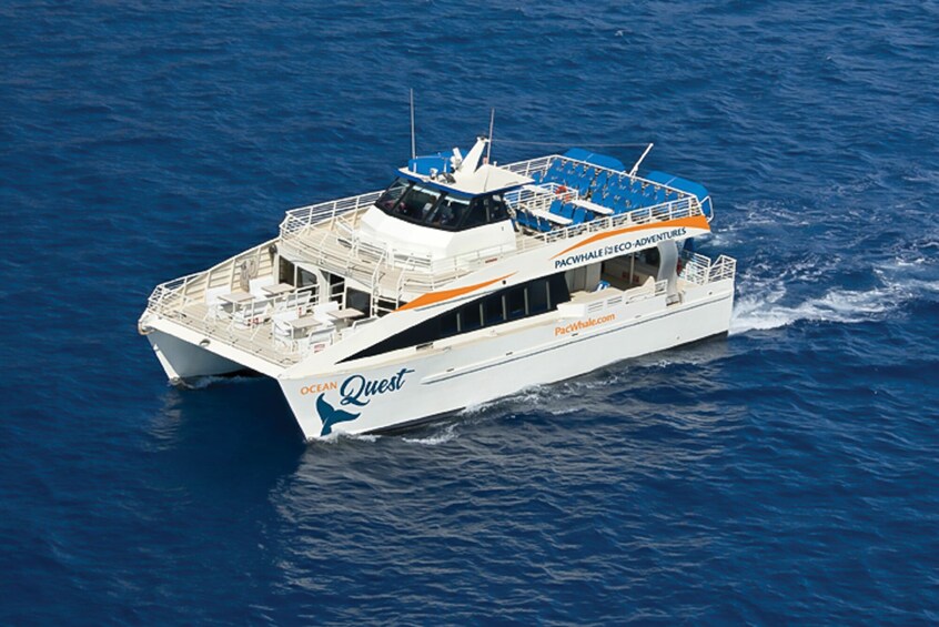 Show item 4 of 8. Lanai Snorkeling & Dolphin Sighting
