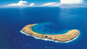 Molokini & Turtle Arches Snorkelling