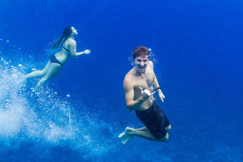 Show item 2 of 8. Molokini Wild Side Eco-Adventure