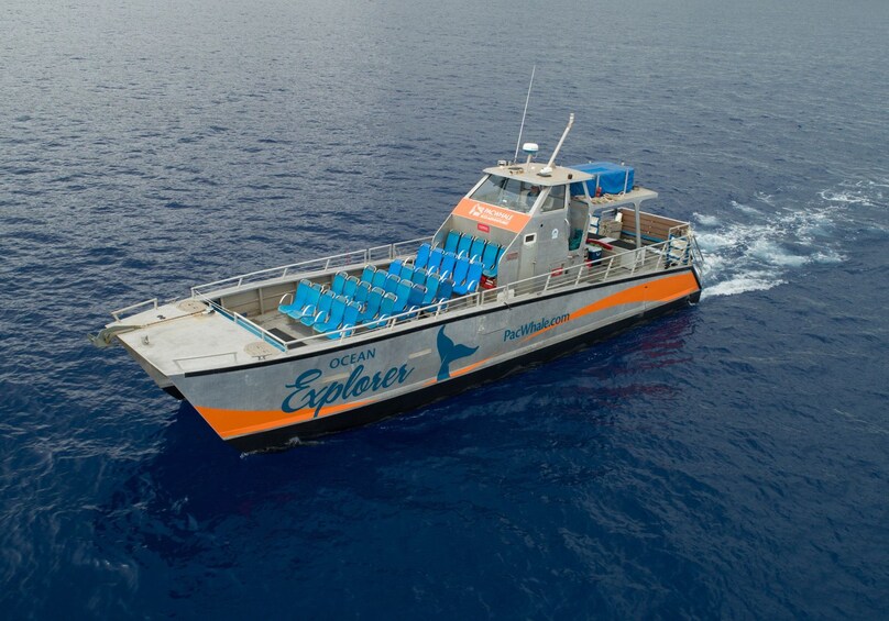 Show item 1 of 8. Molokini Wild Side Eco-Adventure