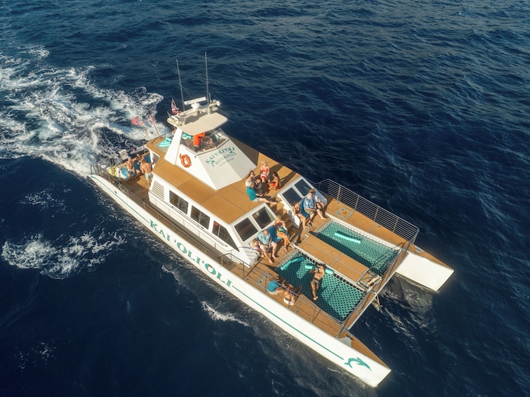 All-Inclusive Buffet,Dolphin Watch and Snorkel - AM, PM or Sunset Cruise -