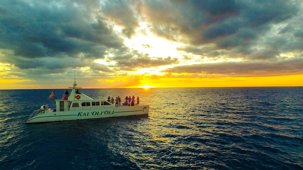 Dolphin-Watching & Snorkeling Cruise