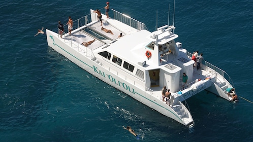 Dolphin-Watching & Snorkelling Cruise