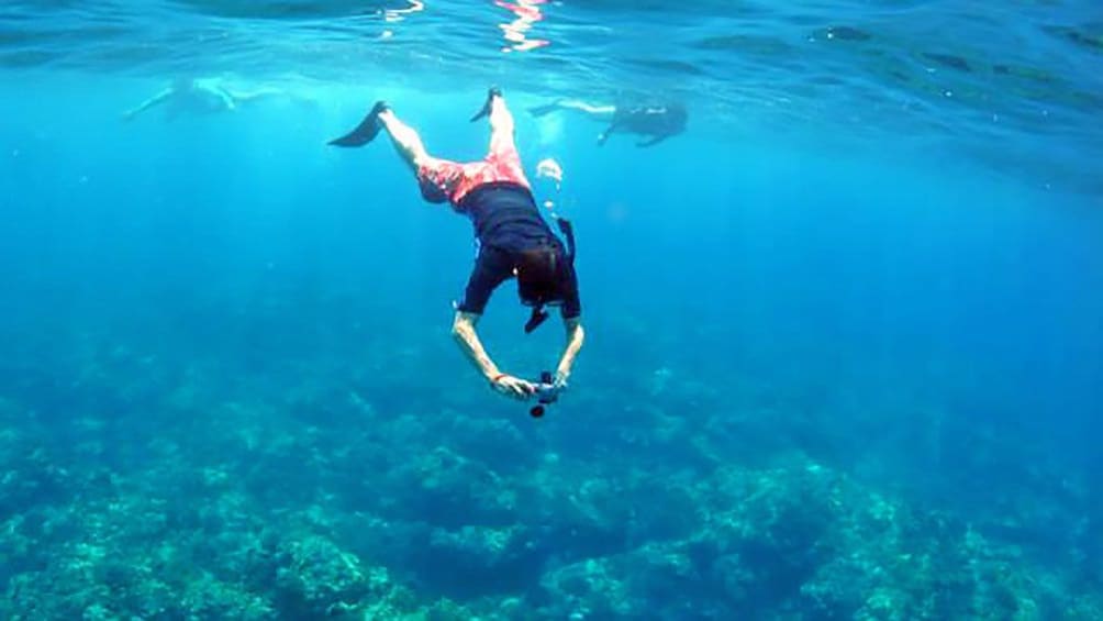 Snorkeling taking underwater photos in Hawaii