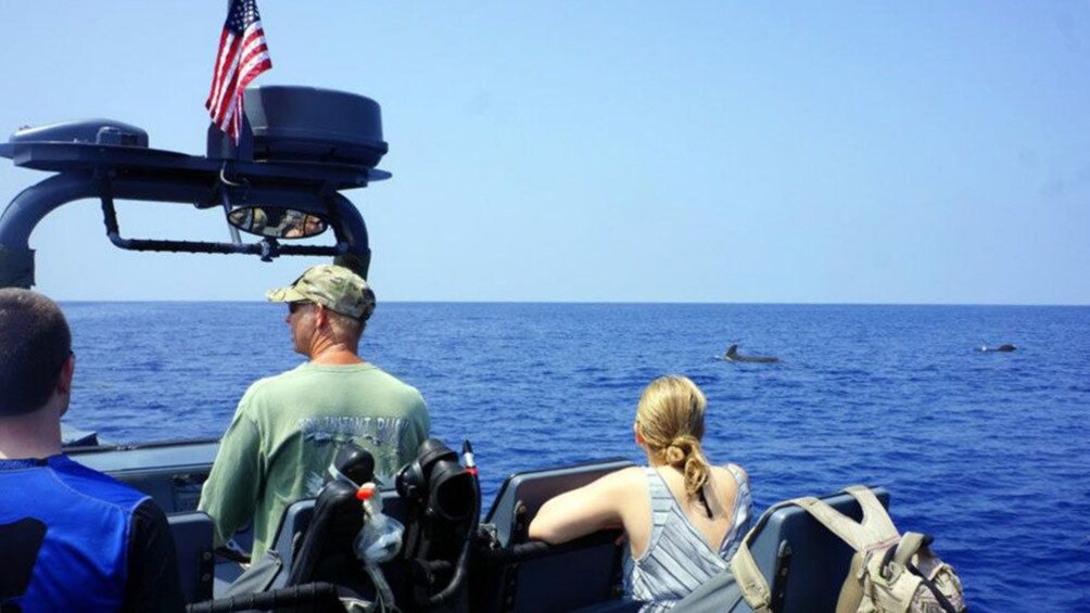 Whale watching group in Hawaii