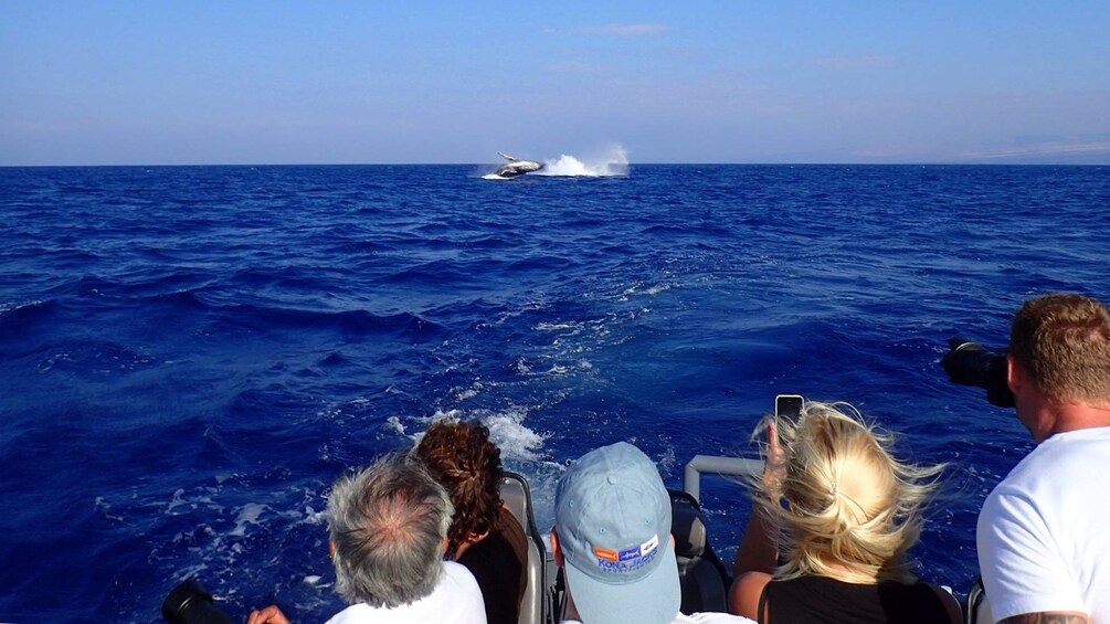 Group on a boat watching a breaching whale off the coast of Big Island