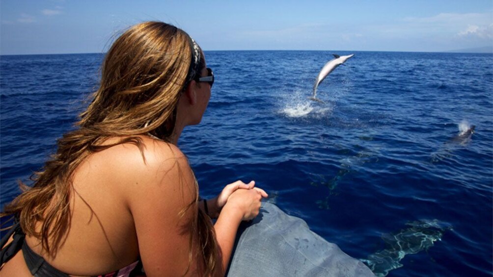 Woman watching dolphins leaping out of the water from a raft in Hawaii