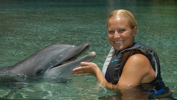 30-Minute Dolphin Swim Encounter