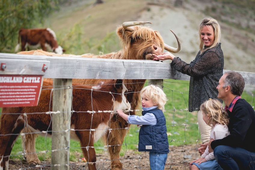 TSS Earnslaw Cruise & Walter Peak Farm Tour