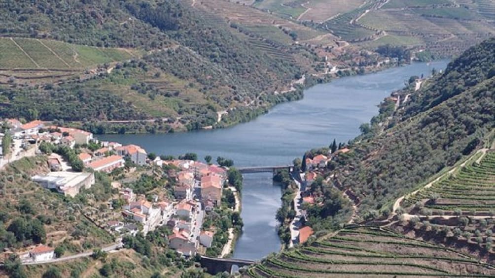 Aerial landscape view of vineyards and river.