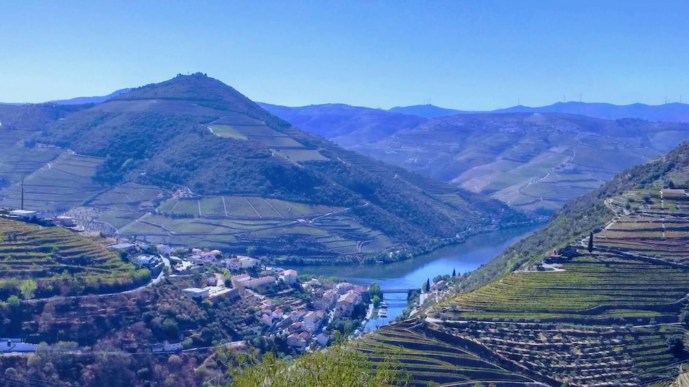 Activity Douro's Wine Tour