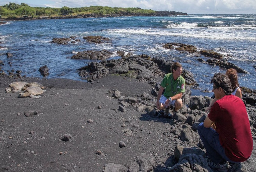 Big Island in a Day: Volcanoes, Waterfalls, Small Group Tour