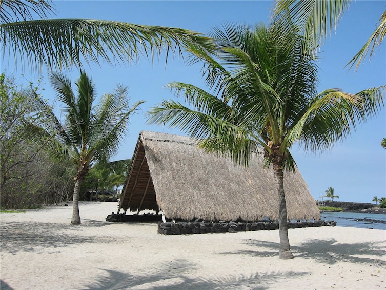 Historic Kona and Farm Tour