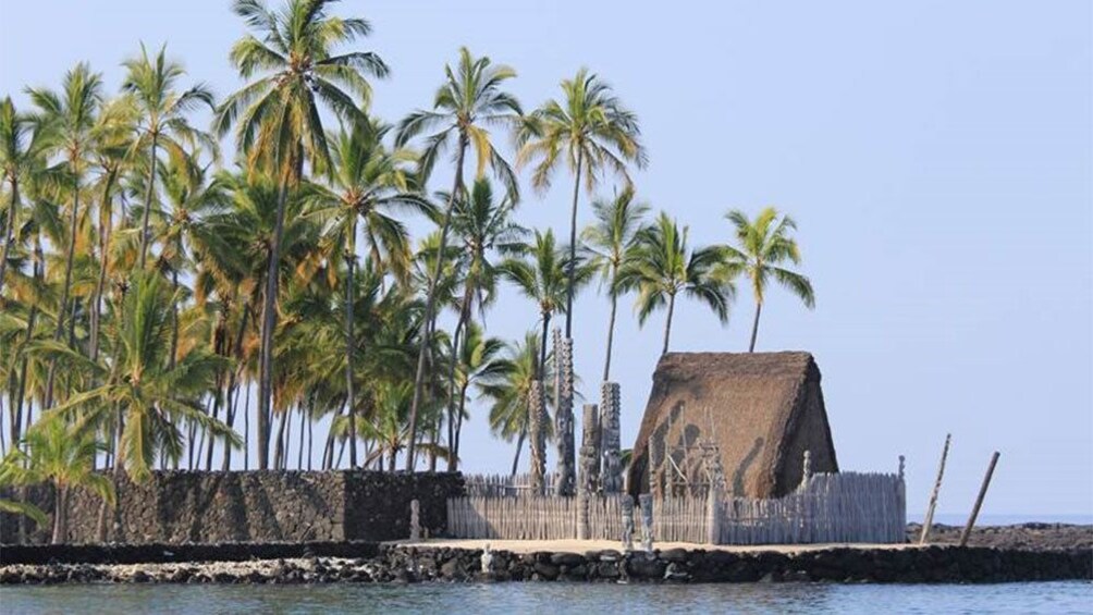 Hut on the beach with palm trees on the Big Island of Hawaii 