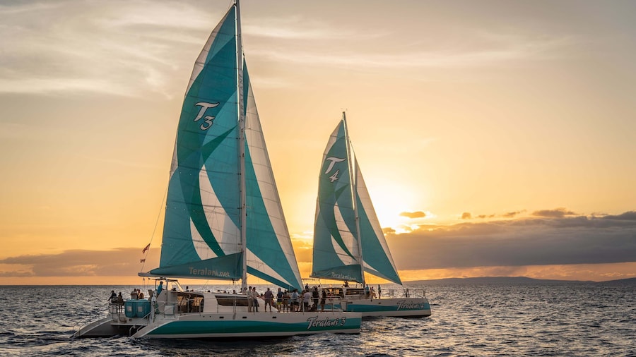 Sunset Sailing with Dinner & Open Bar