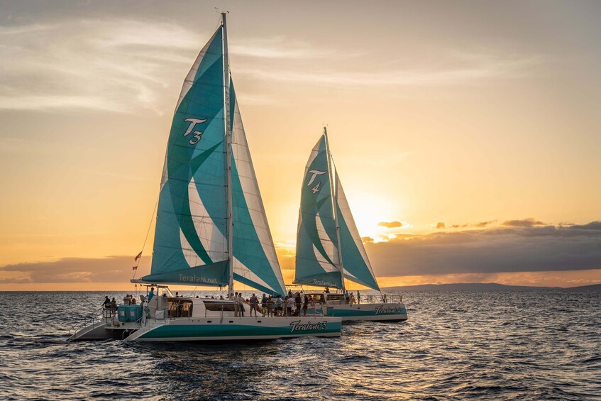 Sunset Sailing with Dinner & Open Bar  