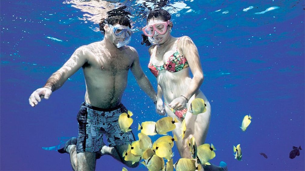 Couple enjoying a snorkeling experience in Maui