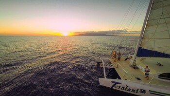 Sunset Cruise with Appetisers & Open Bar