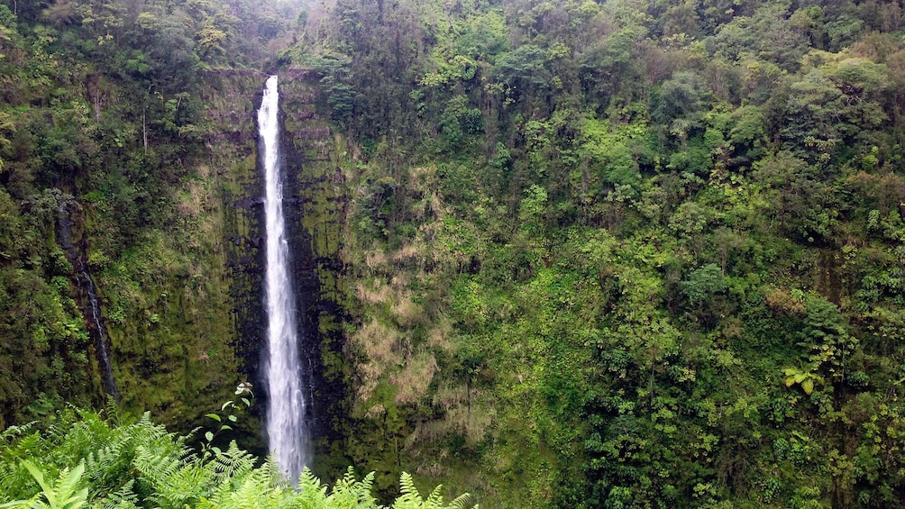 View of a stunning waterfall at the Akaka Falls State Park in Hawaii