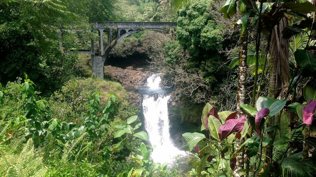 Beautiful waterfall view on the Big Island 