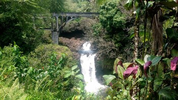 Heavenly Hamakua