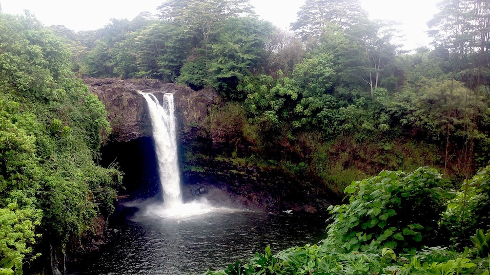 Waterfall in Akaka Falls State Park in Hawaii