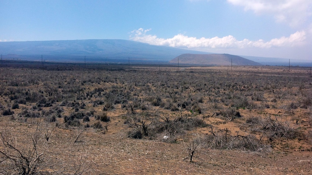 Desert landscape on Big Island