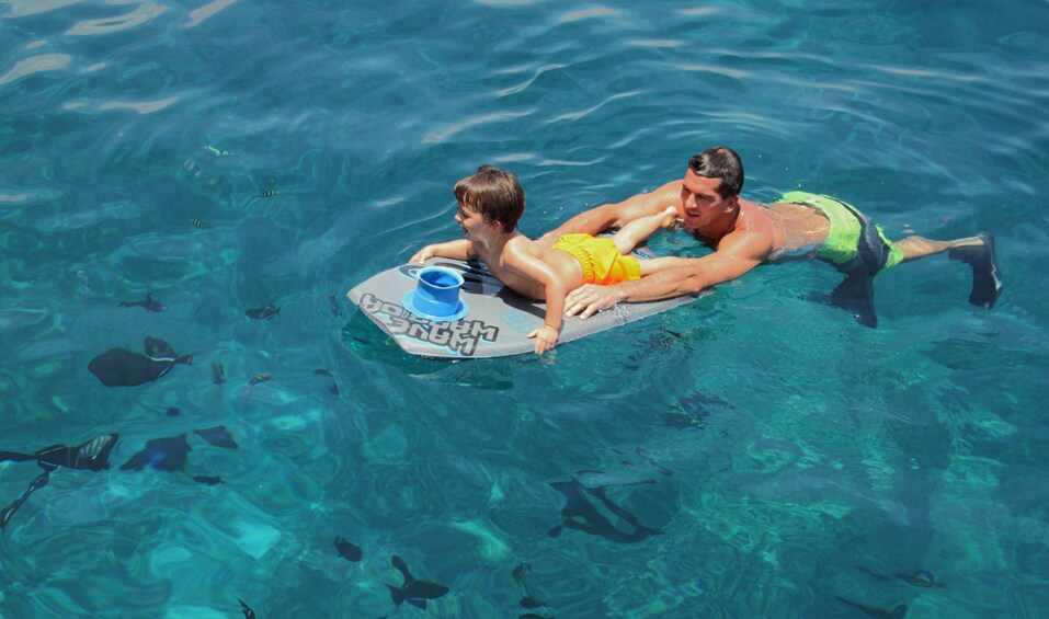 Afternoon Snorkel Cruise to Kealakekua Bay State Park