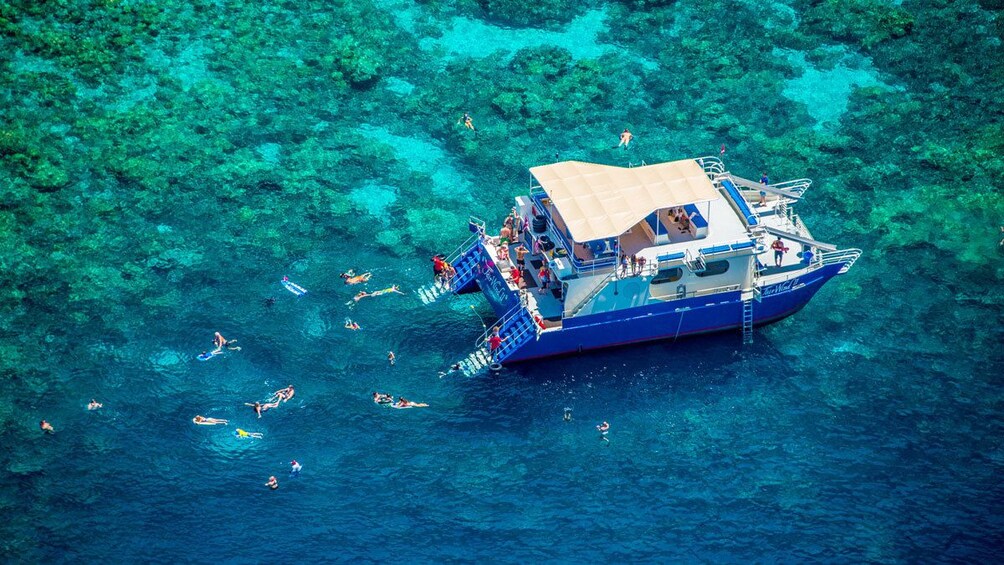 Catamaran Cruise & Kealakekua Bay Snorkel