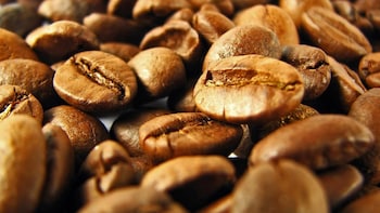 Private Kona Coffee Tour