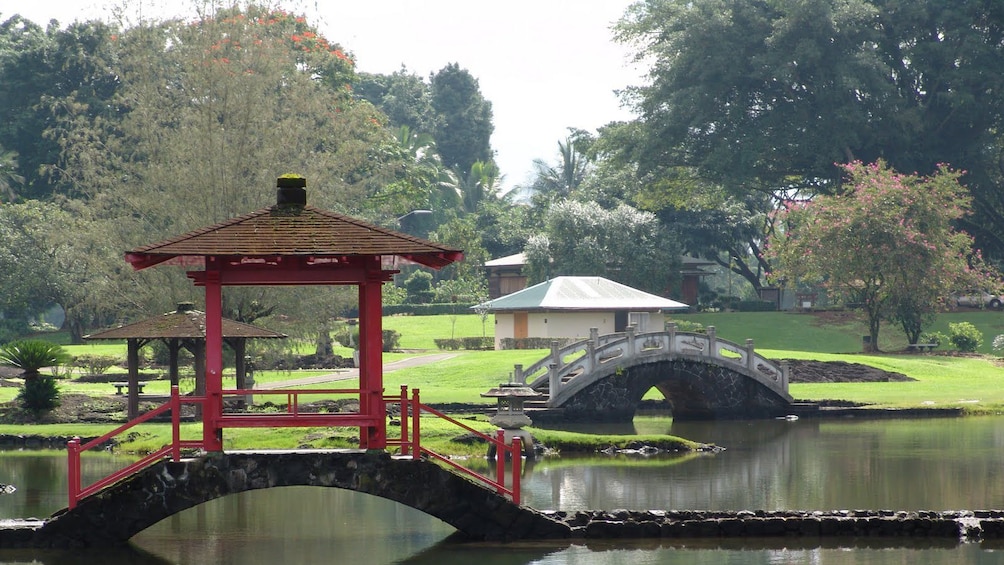 Beautiful bridge in Hawaii 