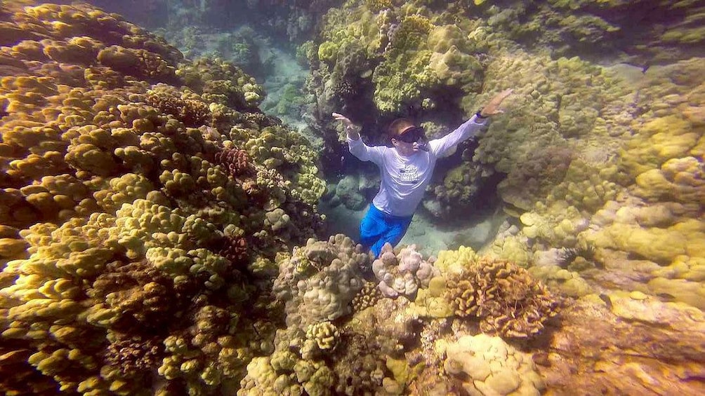 Snorkeler at the Kohala coastline to sanctuary on the Big Island 