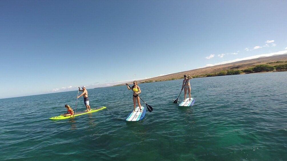 People on paddleboards in hawaii