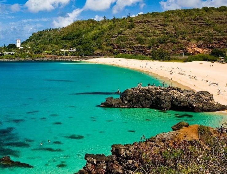 Turtle Eco Adventure Tour