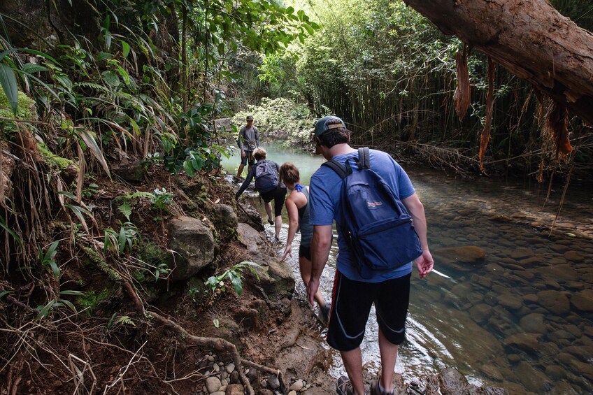 Waterfall & Rainforest Adventure